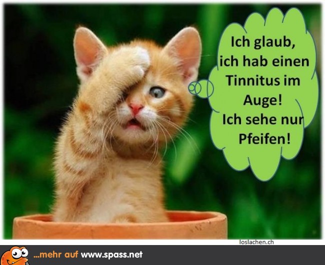 Um Tinnitus vorzubeugen, einfach mal die Augen schließen! Lustige