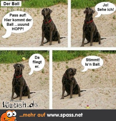 35797-der-ball