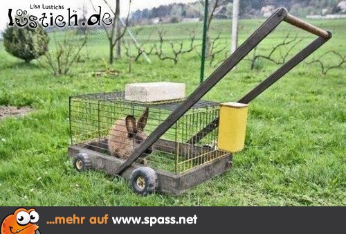Bio-Rasenmäher | Lustige Bilder auf Spass.net