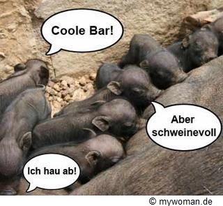 Wildschweinbabys beim Trinken