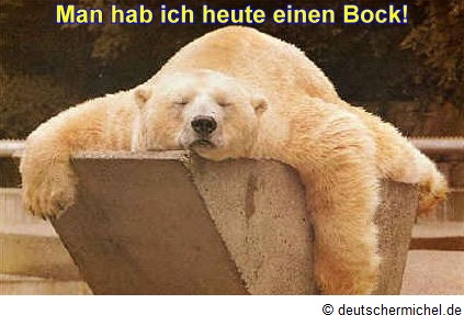 Fauler Eisbär