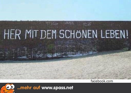 Vielleicht liegt es hinter der Mauer?!! Lustige Bilder auf
