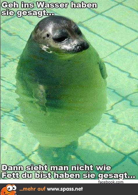 Wasserkurven Lustige Bilder auf