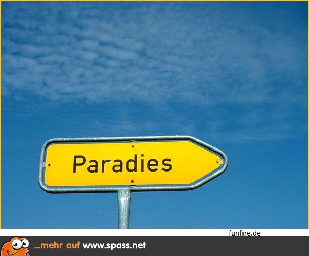 Zurück ins Paradies! Lustige Bilder auf