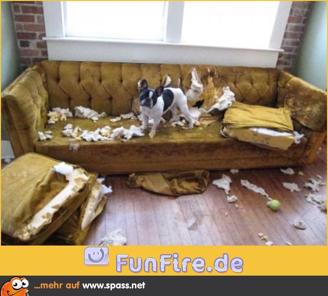 Ich war das nicht