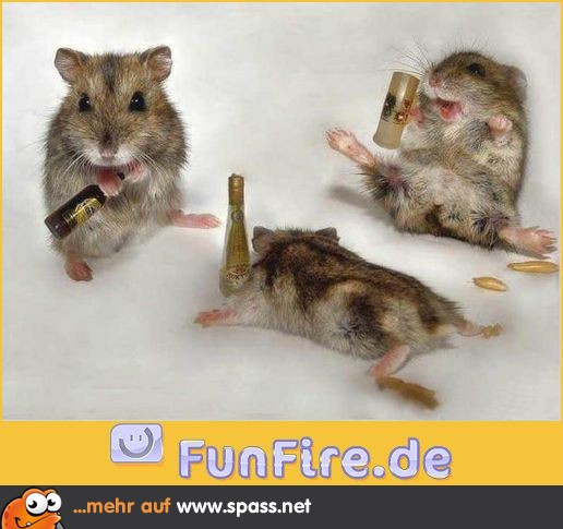 Kleine Alkoholiker