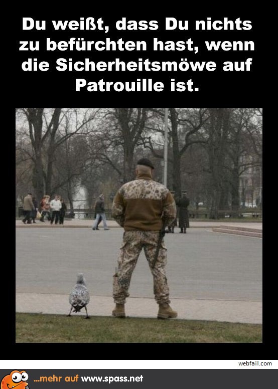 Moewe passt auf