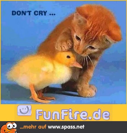 Nicht weinen
