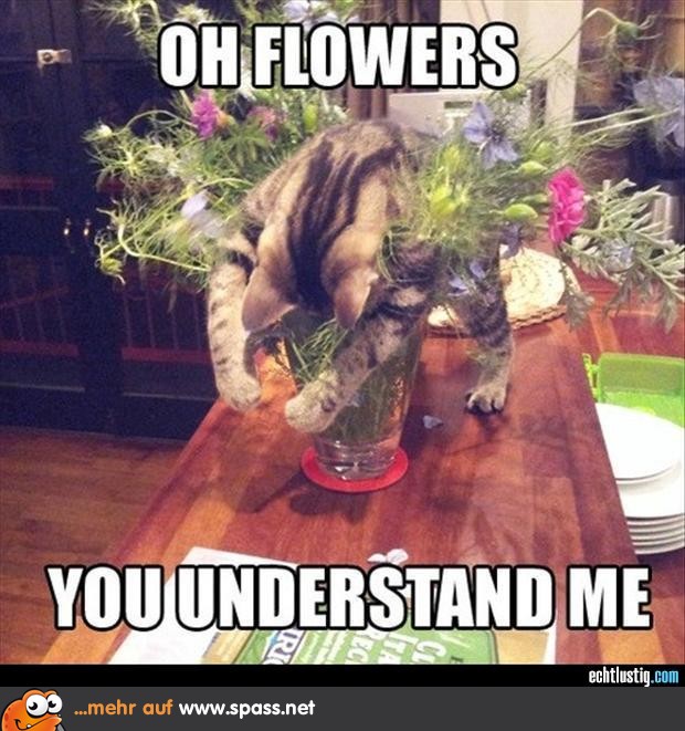 Oh Blumen