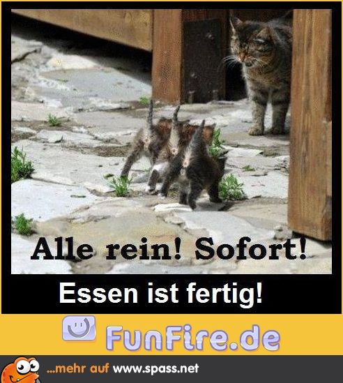 Schluss jetzt