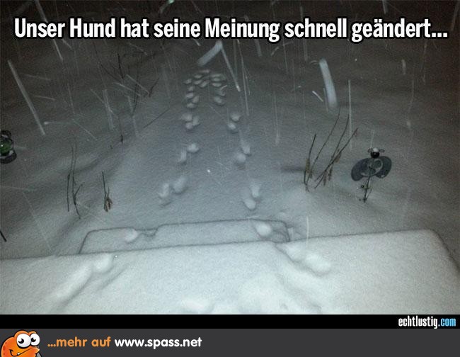 Nur ein kurzer Spaziergang Lustige Bilder auf