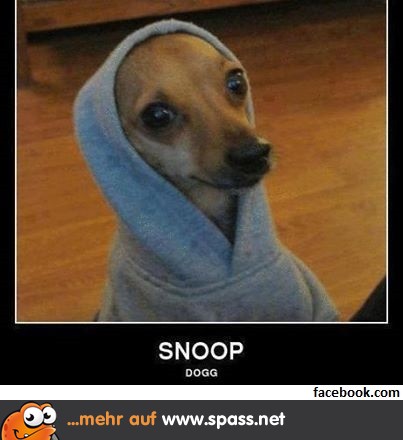 Snoop Dog