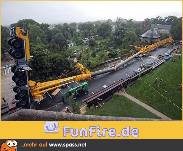 Dumm gelaufen