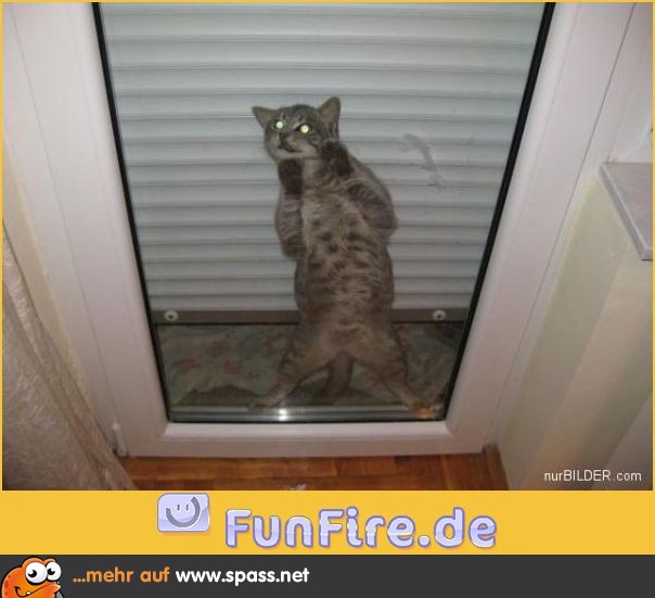 Hilfe!!!