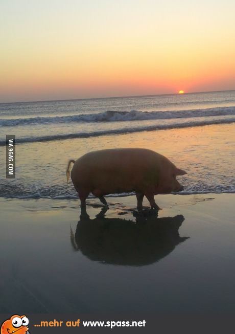 Urlaubszeit