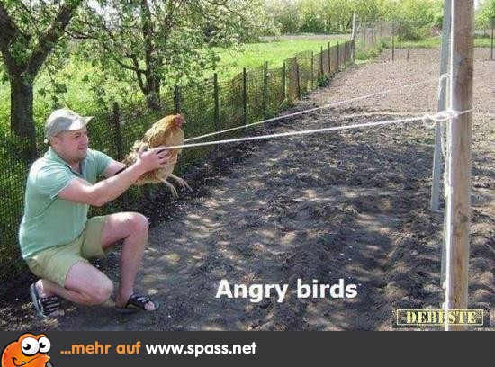Real Angry Birds