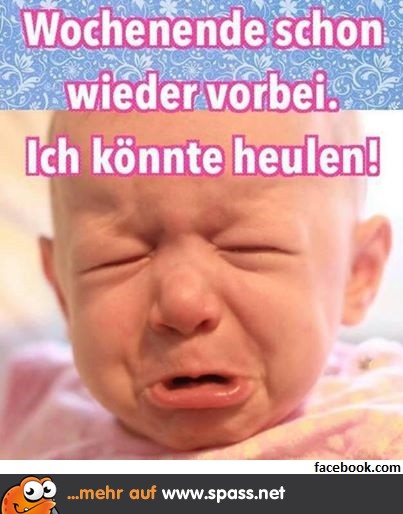 Schon wieder vorbei...