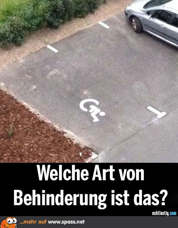 Welche Art von Behinderung ist das?