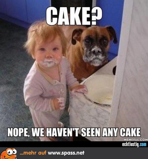 Welcher Kuchen?