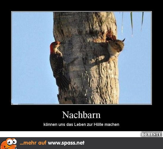 Böse Nachbarn