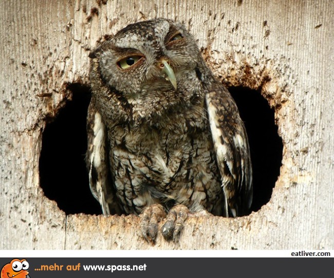 Ich glaub' ich muss ins Bett...
