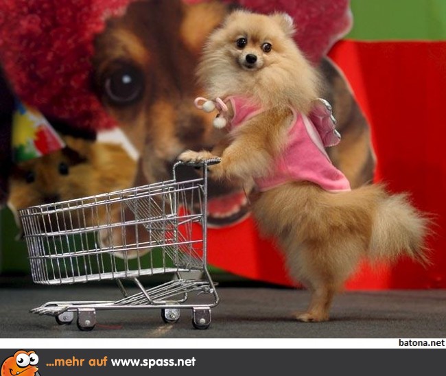 Kleine Shopping-Tour