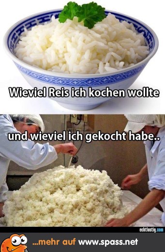 Phänomen Reis