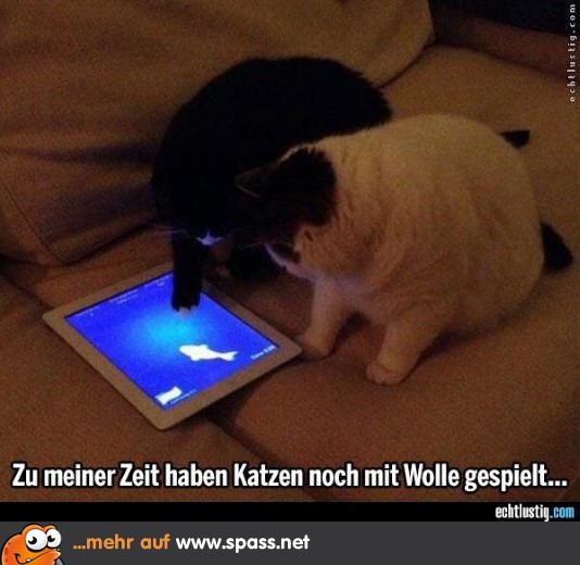 Technisch begabt