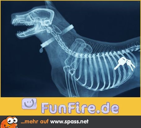 Da sind also die Schlüssel!