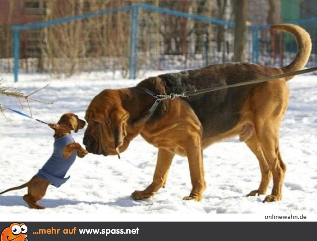 Was willst du?!