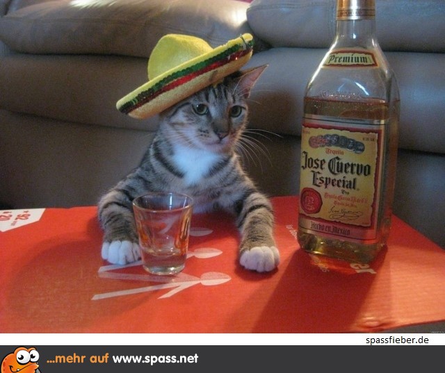 Prost!