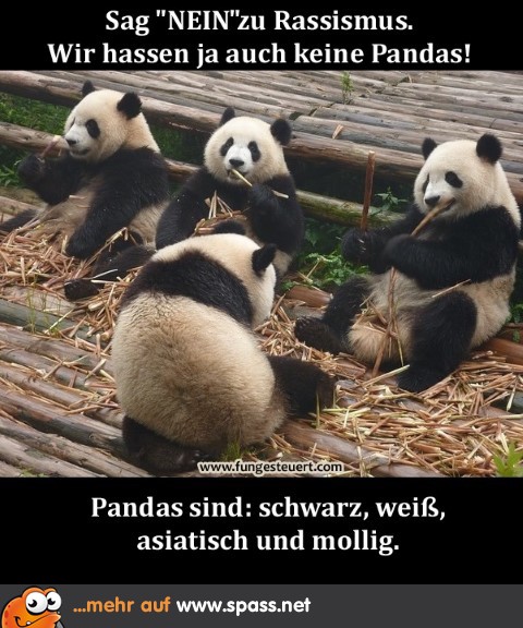 Nein zu Rassismus!