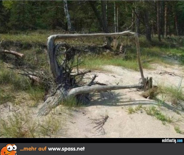 "Quadratwurzel"