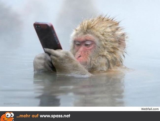 Kurz mal die Mails checken