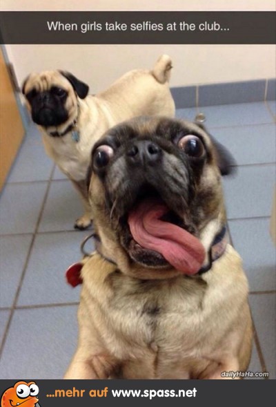 Selfie Mops