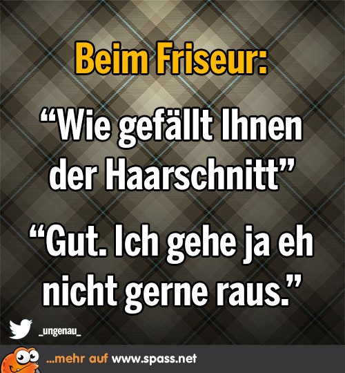 Misslungene Haarpracht? Lustige Bilder auf