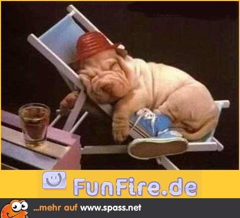 Hundstage Lustige Bilder auf