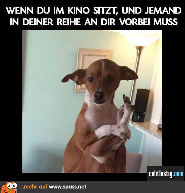 Elegant die Beine anziehen Lustige Bilder auf