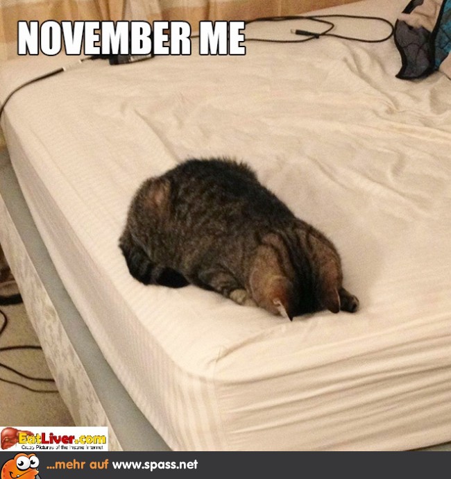 November Me Lustige Bilder auf