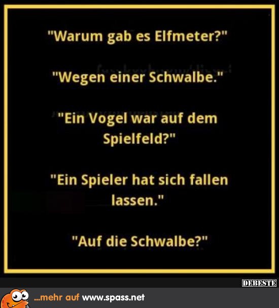Die Schwalbe Lustige Bilder auf