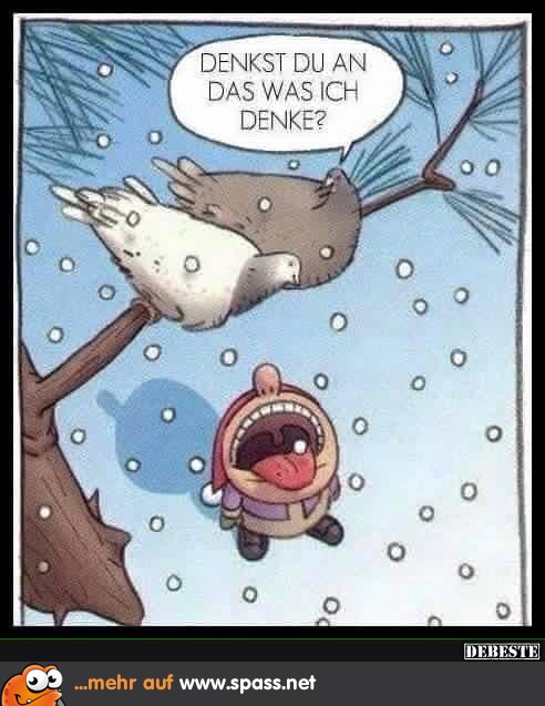 Gemeine Tauben Lustige Bilder auf