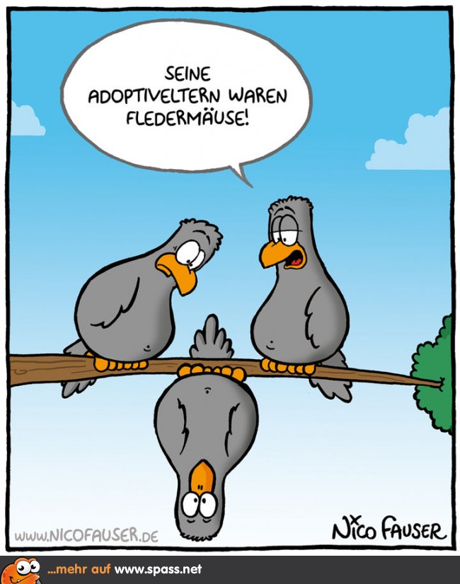 Fledermaus Lustige Bilder auf