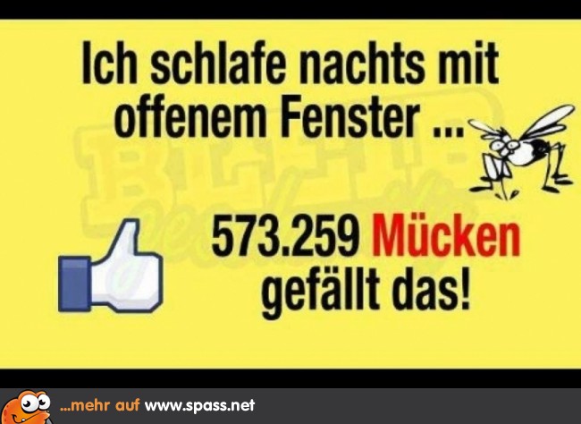 Den Mücken gefällt das… Lustige Bilder auf