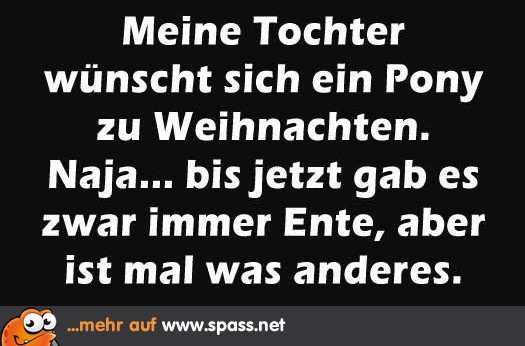 Pony zu Weihnachten Lustige Bilder auf