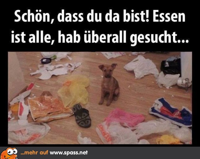 Essen Lustig Witzig Bild Bilder Spruch Spruche Kram Hab Gekocht