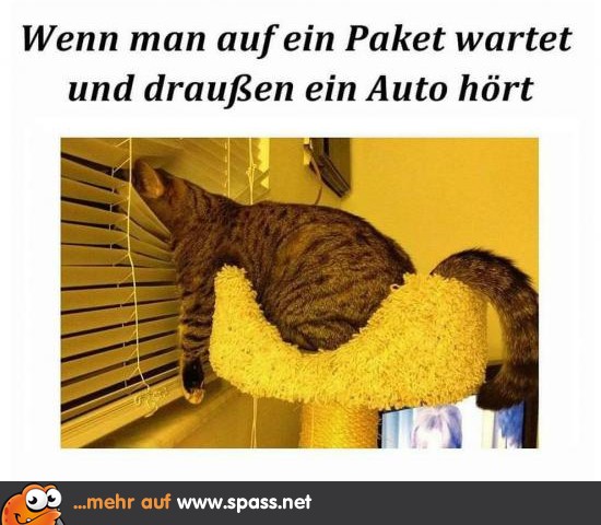 Warten auf’s Paket Lustige Bilder auf