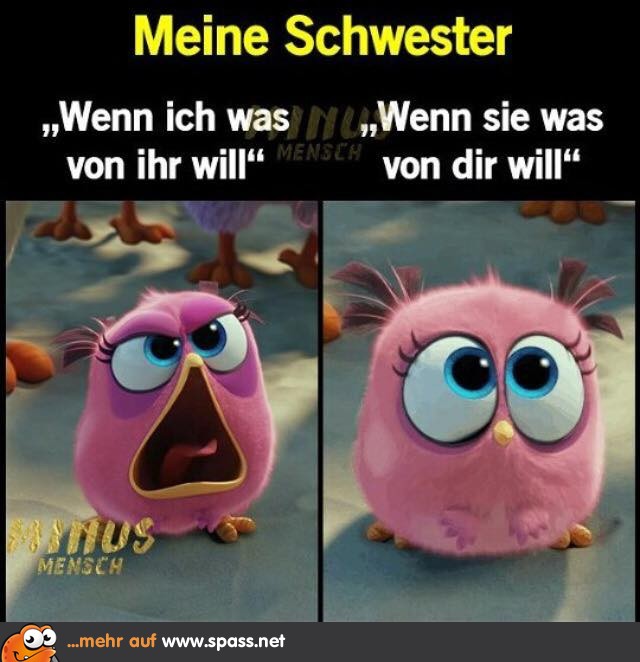 Meine Schwester Lustige Bilder auf