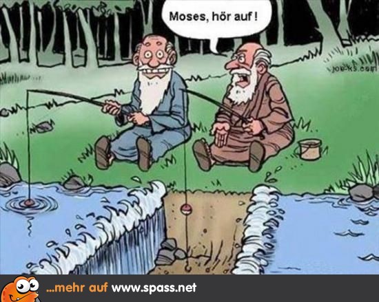 Moses Lustige Bilder auf