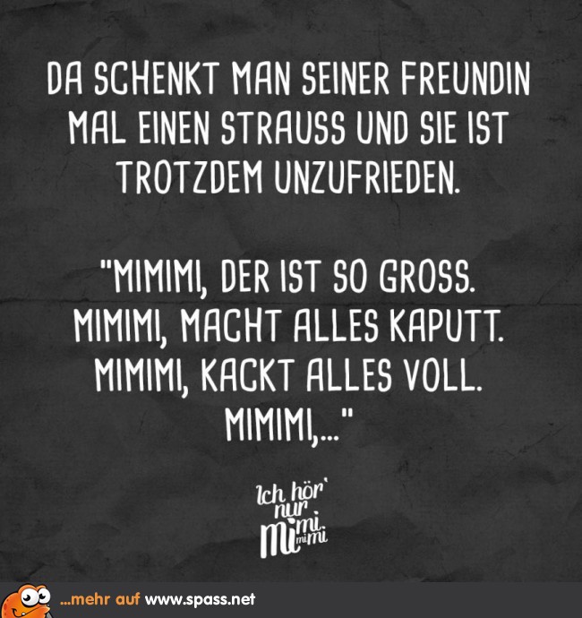 Strauß Lustige Bilder auf