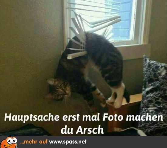 Foto Lustige Bilder auf